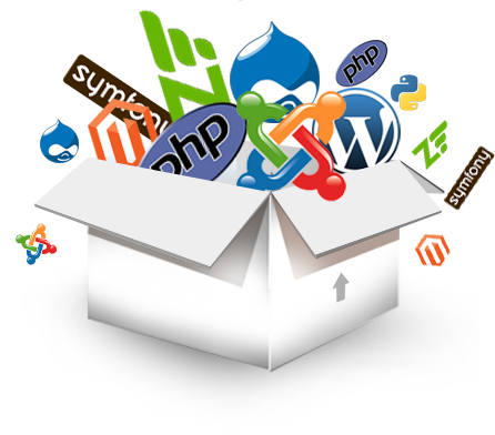 Website Development Process Website Development Process